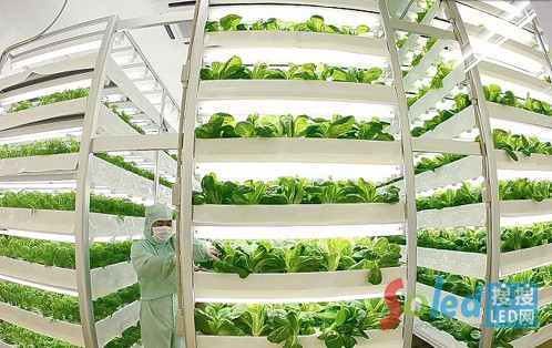 LEDֲ�����L