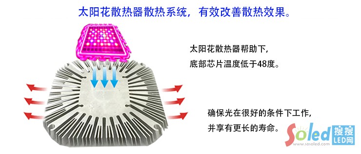 ���٪���COB���Ɑֲ��� ׌ֲ�������L