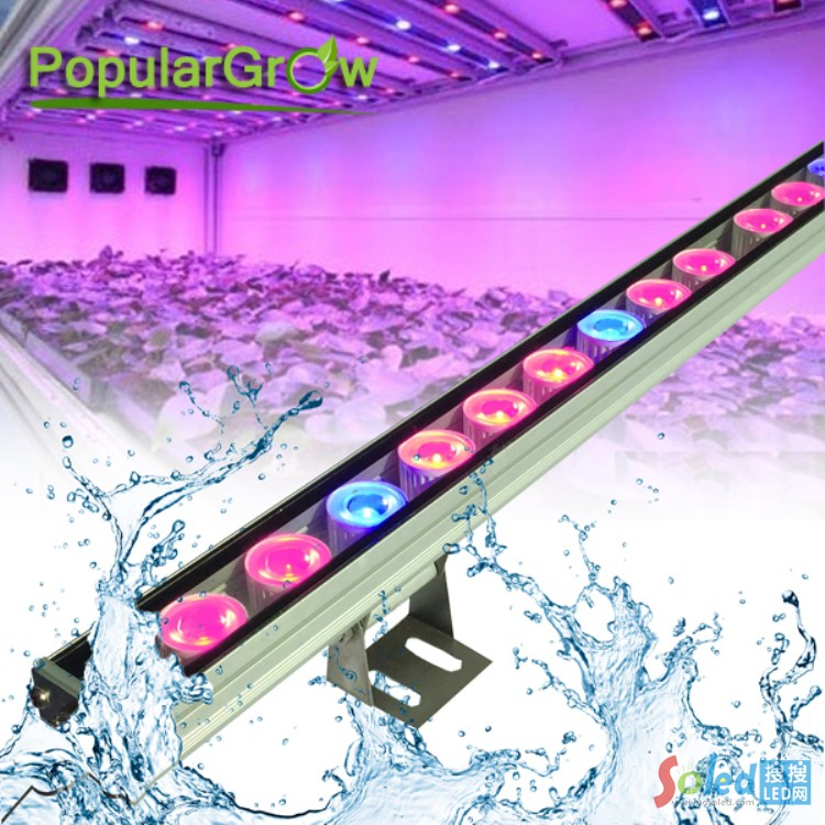����HY-B85CM-27x3W��ˮLEDӲ���l81W LEDֲ����l